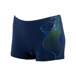Buy Arena Boys Jammers