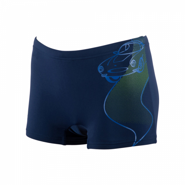 Buy Arena Boys Jammers