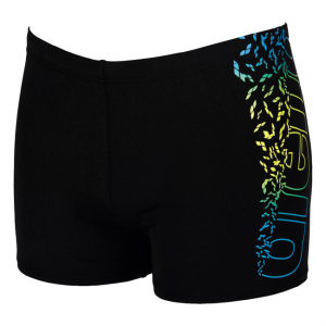 Arena Maracana Swim Shorts