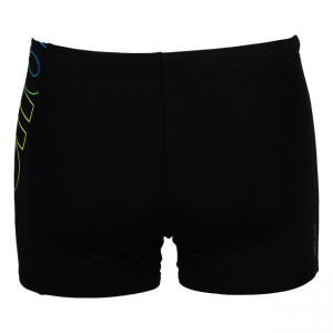 Arena Maracana Swim Shorts