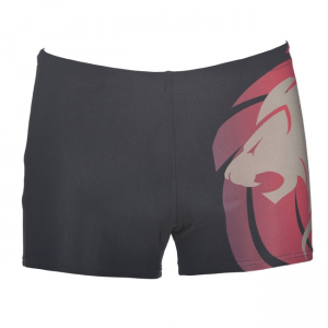 Arena Adam Peaty LIMITED EDITION Elite Swim Shorts