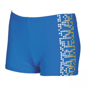 Arena Shed Boys Bright Blue Swim Shorts