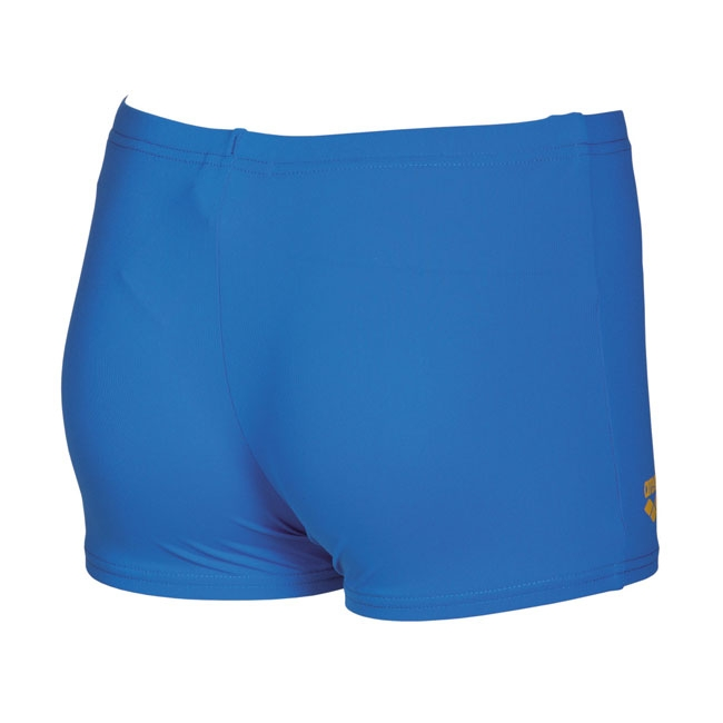 Arena Shed Boys Bright Blue Swim Shorts