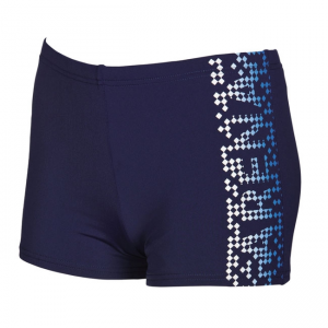 Arena Shed Boys Navy Blue Swim Shorts