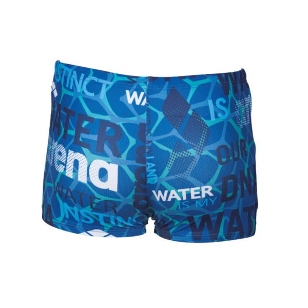 Arena Boys Evolution Swim Shorts