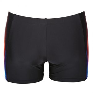 Arena Shining Shorts Black