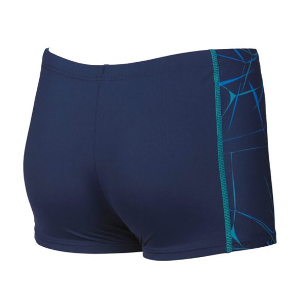 Arena Boys Blue Water Shorts