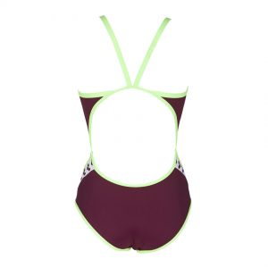 Red Wine Arena Team Stripe Swimsuit