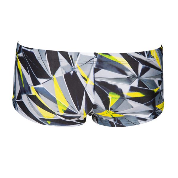 Arena ONE Shattered Low Waist Shorts