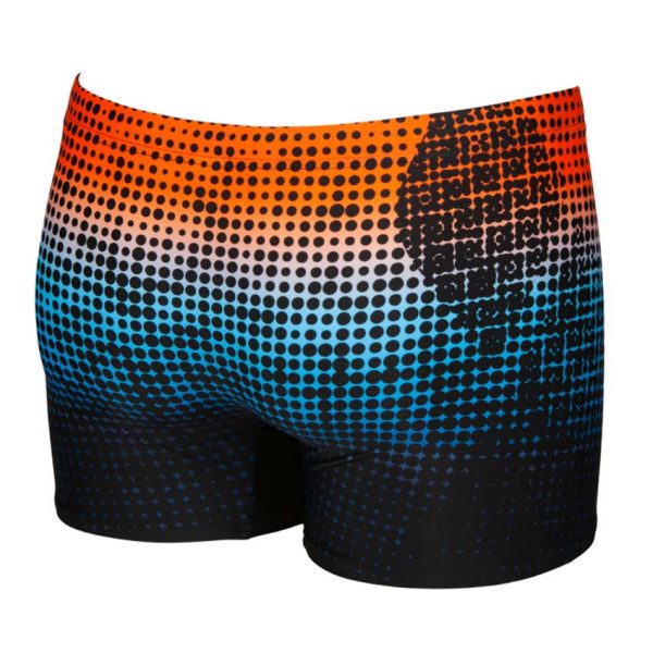 Arena Daytrip Black Swim Shorts