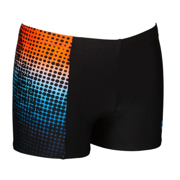 Arena Daytrip Black Swim Shorts