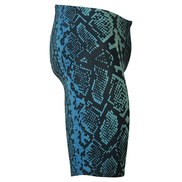 Arena Blue Python Carbon Air 2 Jammers