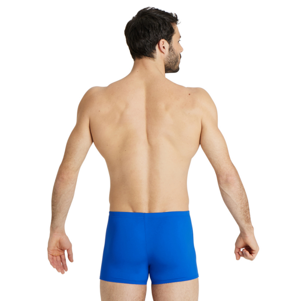 Arena Team Solid Royal Short