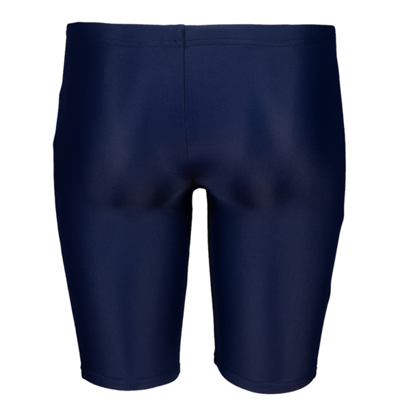 Arena Boy's Blue Parrot Jammer