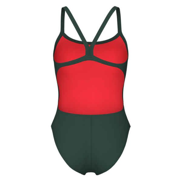 Arena Team Solid Challenge Sage Swimsuit