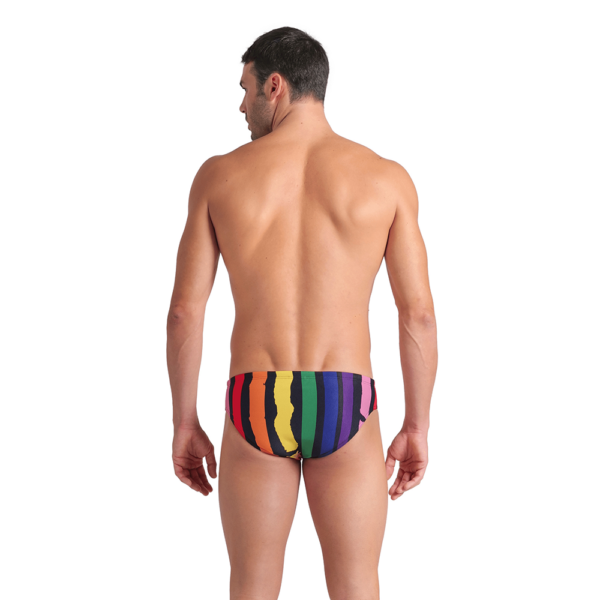 arena Painters Brief