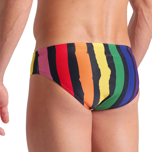 arena Painters Brief